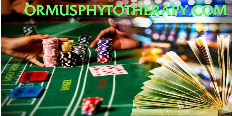 Bingo Patti Pakistan