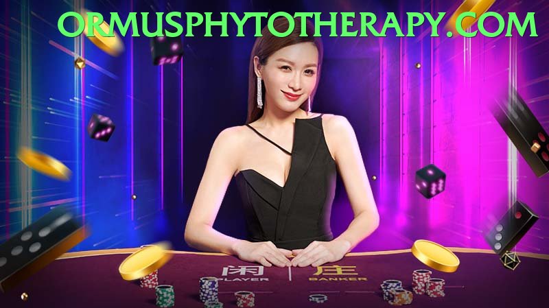 Bingo Patti Pakistan