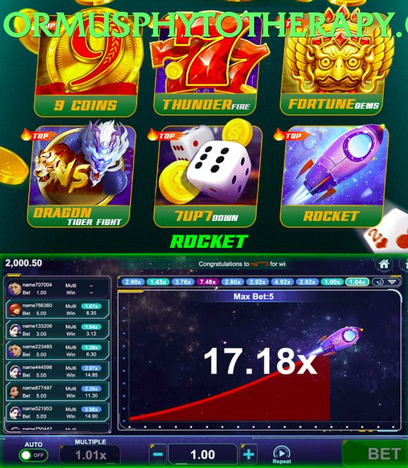 Bingo Patti Pakistan