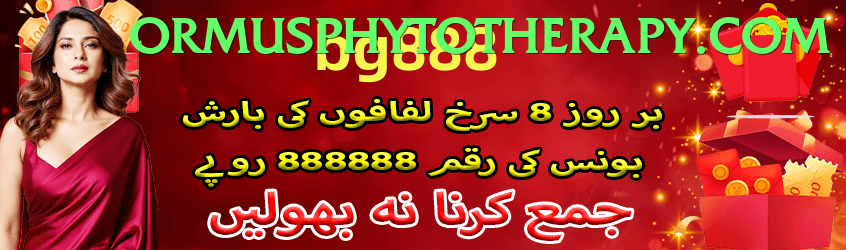 Bingo Patti Pakistan