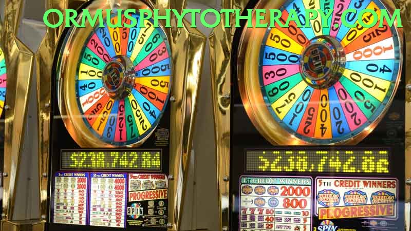 Bingo Patti Pakistan